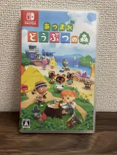 ケースのみ　あつまれ どうぶつの森 Nintendo Switch