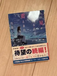 君とまた出会いたい 続編