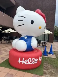専用出品
