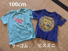 ラーゴム、ヒスミニTシャツ2枚セット
