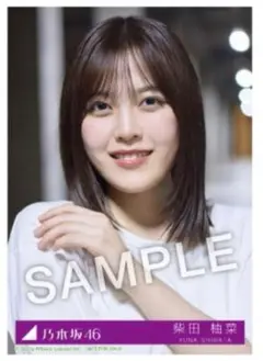 乃木坂46 柴田柚菜　39th Same numbers CD 限定　特典生写真