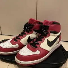 ビッグナイキ　スパイクリー　Big Nike Spike Lee JORDAN 2025年最新】big nike spike leeの人気アイテム - メルカリ