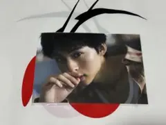 酒井大成 ブロマイド
