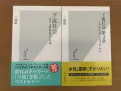 下流社会 : 新たな階層集団の出現　下流社会第2章　なぜ男は女に負けたのか　2冊