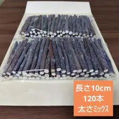 Item thumbnail for item 163018dd-47ee-4827-b1bc-f45c2bb8eb48