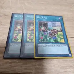 遊戯王 隣の芝刈り スーパー 3枚 478