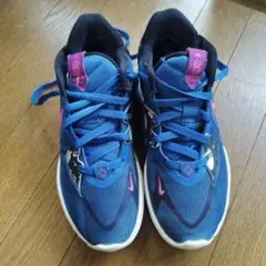 NIKE KYRIE LOW 5 EP 　24.5cm