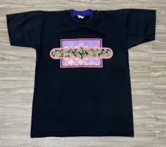 Velva Sheen USA製 ヴィンテージTシャツ ブラック／紫 Mサイズ