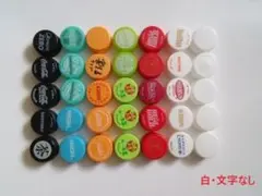 白色・無地　ペットボトルキャップセット（100個）