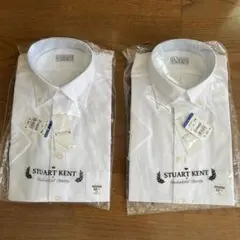 【新品2着セット】STUART KENT ボタンダウンシャツ 白　サイズ39