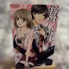 傲慢社長のおきにいり