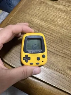ポケットピカチュー