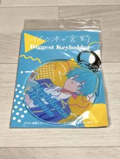 佐々木と宮野 宮野由美 Biggestキーホルダー グッズ 新品