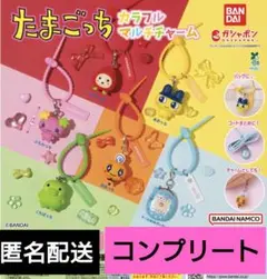 たまごっち　カラフルマルチチャーム　6種　コンプリート　ガチャ