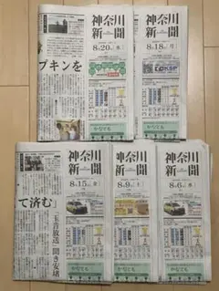 神奈川新聞【横浜高校野球部 2025夏の甲子園大会ベスト８! 春夏連覇ならず!】