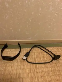 【ジャンク品】fitbit ブラック USB充電ケーブル付き　【接続不良】