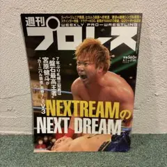 Item thumbnail for item 369bddd3-f4ae-461e-8728-f6524205e0c2