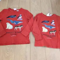 Item thumbnail for item 3d3abe84-b28b-4e1f-a43e-a445434dc105