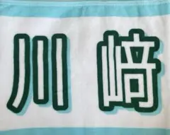 乃木坂　真夏の全国ツアー 2025 川崎桜