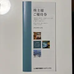 東急不動産ホールディングス　株主優待