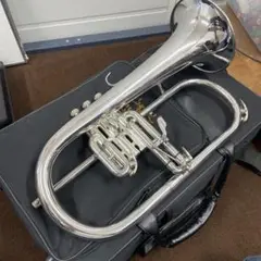 マルカート marcato フリューゲルホルン セミハードケース 軽量 楽天市場】MARCATO ホルン用ベルカットウルトラライトケース