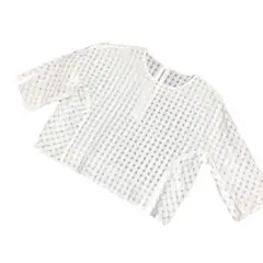 本日削除!定価1万!トゥモローランド マカフィー シースルーギンガムトップス