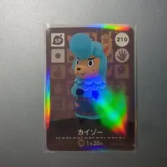 カイゾー amiiboカード どうぶつのもり