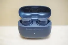 Item thumbnail for item 36312a43-11c8-4235-bee0-20412245a8dd