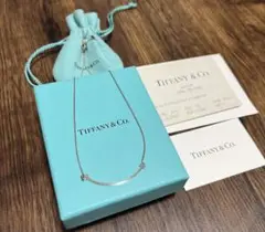 Tiffany Tスマイル ネックレス シルバー レア 購入証明あり