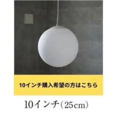 LED電球付！masterpiece 10インチペンダントライト