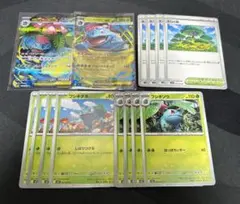 メガフシギバナex SR 進化ラインセット　メガシンフォニア