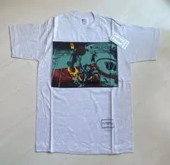 Item thumbnail for item 8fed3dbf-6c48-4c0f-984d-907cb86c6027
