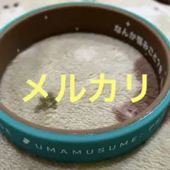 ウマ娘 4thイベント シリコンバンド メジロパーマー