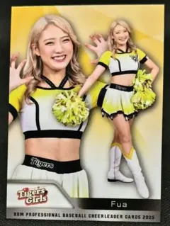 Item thumbnail for item 2d2f98c2-bf6a-4fc9-8ca8-5f3fe3966971