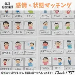 感情・状態マッチング モンテッソーリ 知育 療育 特別支援 保育