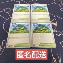 【未使用】活力の森 U4枚 メガシンフォニア m1S 061/063