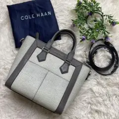 ✨美品✨ コール ハーン エヴァ ミニ サッチェル 2way ショルダーバッグ