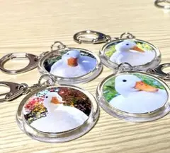 Item thumbnail for item b095e885-6d78-4785-954b-46d5f74a098c