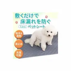 Item thumbnail for item b850c0f1-5440-450b-81d1-9a02a2fc8108