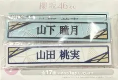 Item thumbnail for item dcca1c79-b2cd-46bd-ad0a-b41c670cdf69