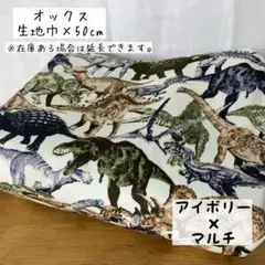 《オックス》恐竜ワールド アイボリー×マルチ 男の子 生き物 入園入学