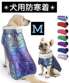 Item thumbnail for item 91cb9325-da60-4dbb-9ea4-d033c76f9dfd