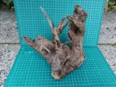 流木 枝　 高さ×幅　約18cmx30cm