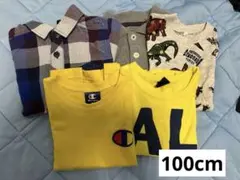 25日まで値下げ！　週末セール　100cmTシャツ5枚セット