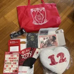 浦和レッズ　サポーターグッズ　9点セット