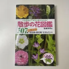 散歩の花図鑑　507種　岩槻秀明著