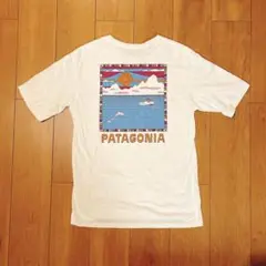 【限定品】パタゴニア サミットロード tシャツ STY38537