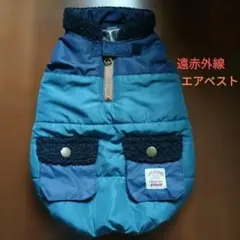 Item thumbnail for item 2fc9e749-6fc0-460c-913a-63a119a5489d