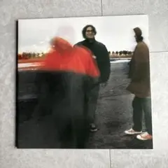 【LP】【レア】Yo La Tengo Summer Sun 500枚限定盤 Summer Sun【500枚限定】(日本限定スプリット・カラー