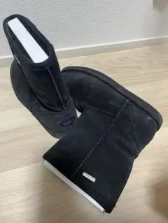 Item thumbnail for item 6eced76b-9700-4a95-94a1-361e47a3e107